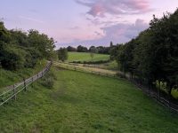 IMG_2278